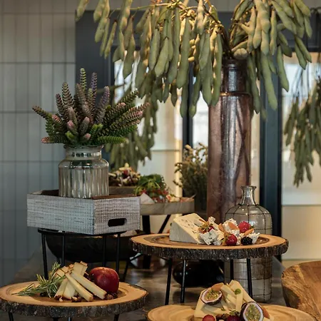 King Jason Zante - Designed For Adults فندق 5*