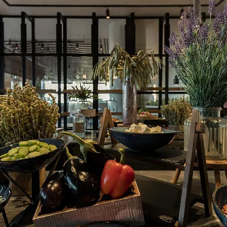 King Jason Zante - Designed For Adults Hotell