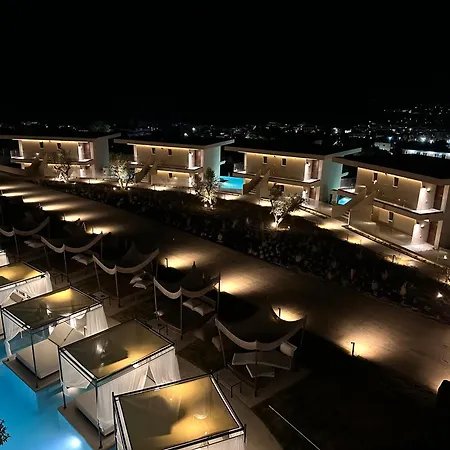 King Jason Zante - Designed For Adults Plános