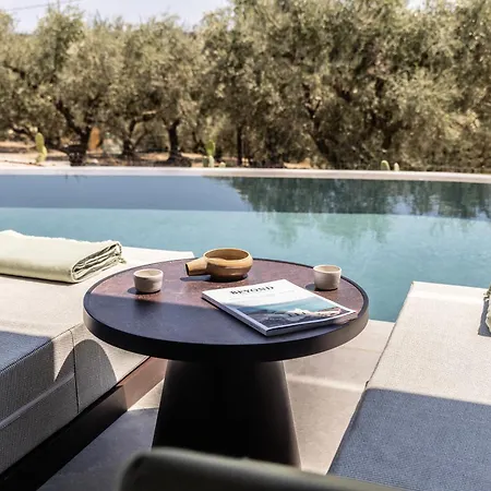 King Jason Zante - Designed For Adults Hotell